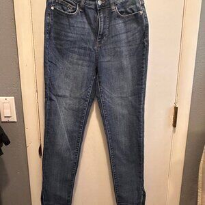 Judy Blue Skinny Fit